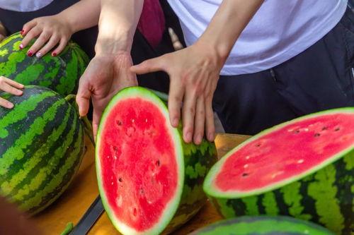 免费吃瓜真人,揭秘真人生百态