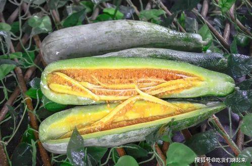 网红陈妮妮吃瓜图片,网红美食生活大揭秘  第1张